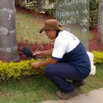 servicos-jardinagem-sao-paulo-06